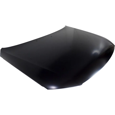 Hood Panel Assembly - VW1230133 pa2