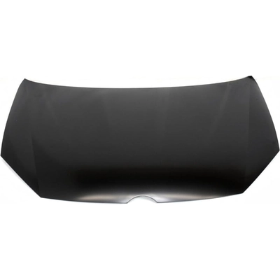 Hood Panel Assembly - VW1230138C pa1