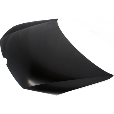 Hood Panel Assembly - VW1230138C pa2
