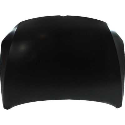 Hood Panel Assembly - VW1230142 pa1