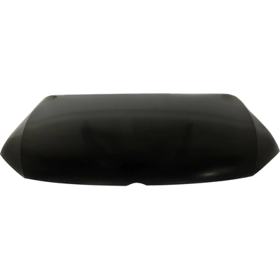 Hood Panel Assembly - VW1230142 pa2