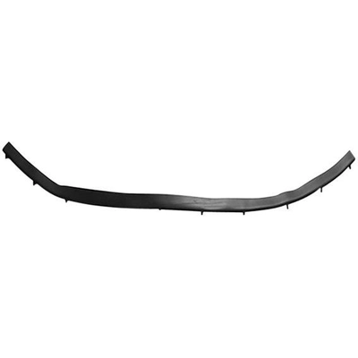 Hood Panel Molding - TO1235110 pa1