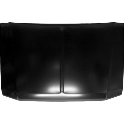 Hood Panel - GMK314620080 pa1