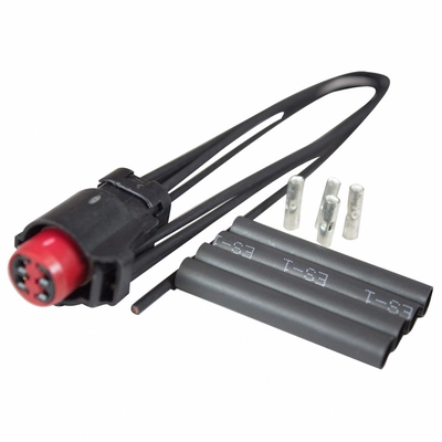 Horn Connector by MOTORCRAFT - WPT169 pa3