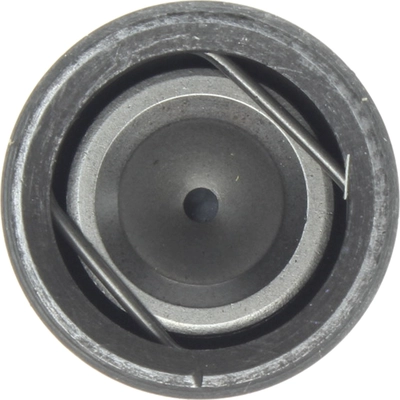 Hydraulic Lifter (Pack of 4) by MAHLE ORIGINAL - 213-1667 pa1