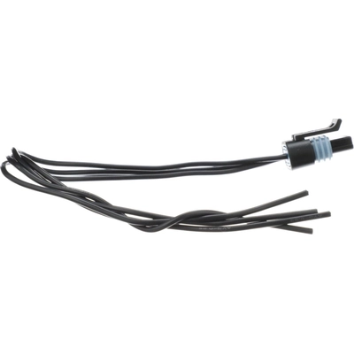Idle Air Control Valve Connector (Fuel Injected) by BLUE STREAK (HYGRADE MOTOR) - S551 pa54