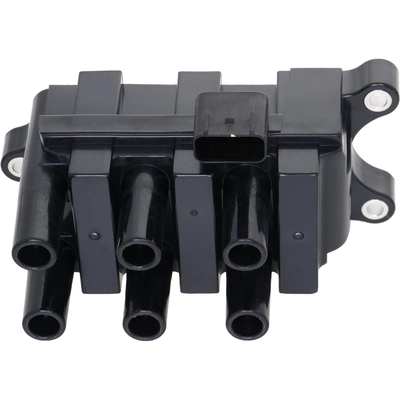 HOLSTEIN - 2IGC0048 - Ignition Coil pa1