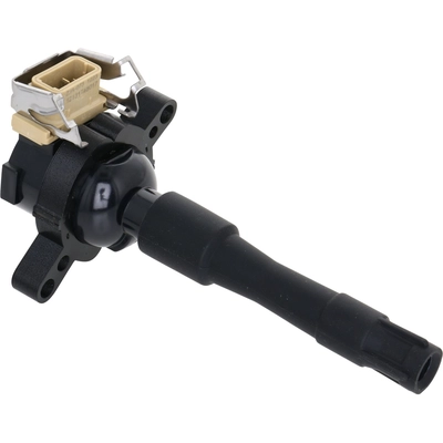 HOLSTEIN - 2IGC0113 - Ignition Coil pa1
