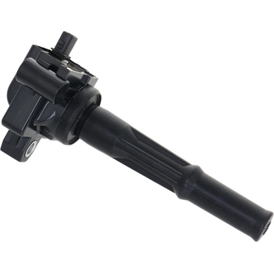 HOLSTEIN - 2IGC0171 - Ignition Coil pa1