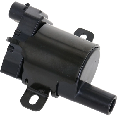 HOLSTEIN - 2IGC0199 - Ignition Coil pa1
