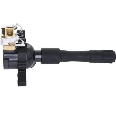 HOLSTEIN - 2IGC0261 - Ignition Coil pa2