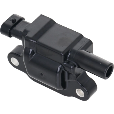 HOLSTEIN - 2IGC0303 - Ignition Coil pa1