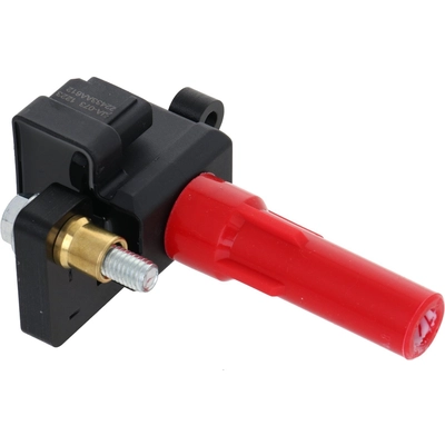 HOLSTEIN - 2IGC0364 - Ignition Coil pa1