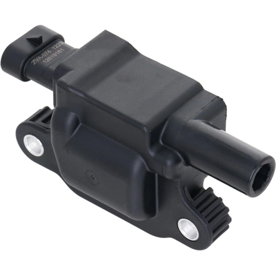 HOLSTEIN - 2IGC0539 - Ignition Coil pa1