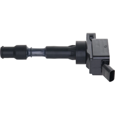 HOLSTEIN - 2IGC0586 - Ignition Coil pa6