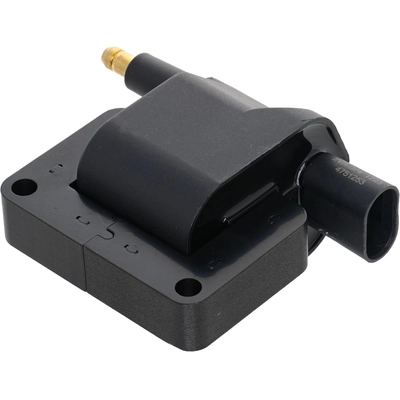 HOLSTEIN - 2IGC0661 - Ignition Coil pa1