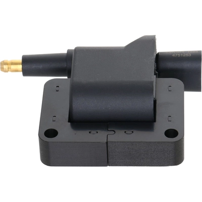 HOLSTEIN - 2IGC0661 - Ignition Coil pa2