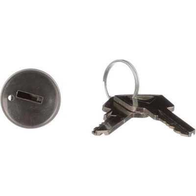 BLUE STREAK (HYGRADE MOTOR) - US20L - Ignition Lock Cylinder pa6