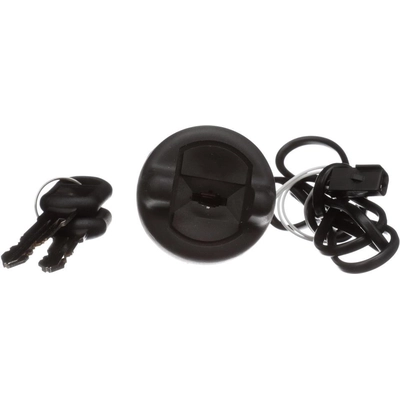 Ignition Lock Cylinder by BLUE STREAK (HYGRADE MOTOR) - US222L pa5