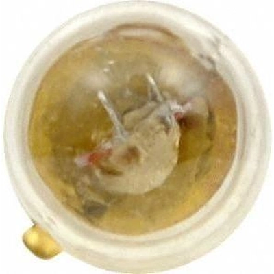 Ignition Switch Light by SYLVANIA - 1891LL.BP2 pa50