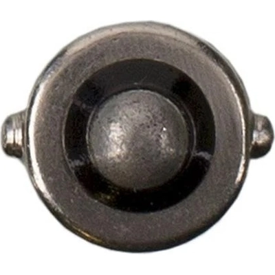 Ignition Switch Light by WAGNER - BP53LL pa3