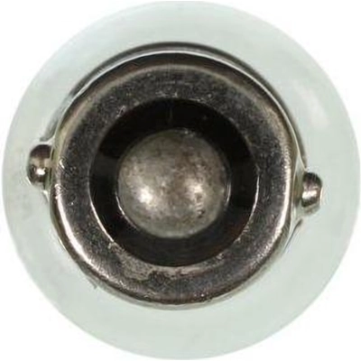 Ignition Switch Light by WAGNER - BP1895 pa45