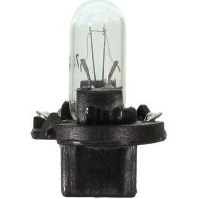 WAGNER - PC74 - Ignition Switch Light (Pack of 10) pa20