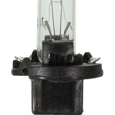 WAGNER - PC74 - Ignition Switch Light (Pack of 10) pa6