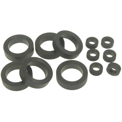 BLUE STREAK (HYGRADE MOTOR) - SK10 - Fuel Injector Seal Kit pa1