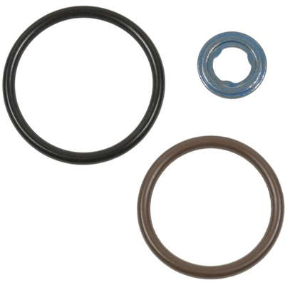 BLUE STREAK (HYGRADE MOTOR) - SK140 - Fuel Injector Seal Kit pa1