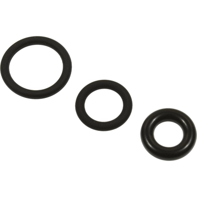 Injector Seal Kit by BLUE STREAK (HYGRADE MOTOR) - SK147 pa1