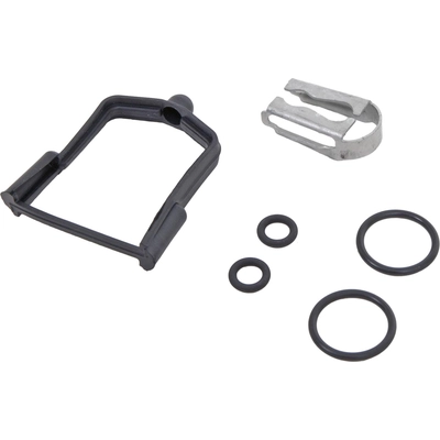 Injector Seal Kit by BLUE STREAK (HYGRADE MOTOR) - SK96 pa1