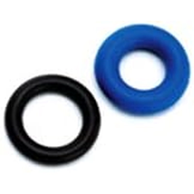 DELPHI - FH10106- Fuel Injection Nozzle O-Ring Kit pa1