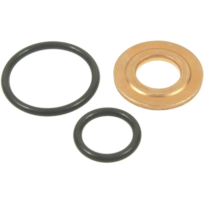 STANDARD - PRO SERIES - SK66 - Fuel Injector O-Ring Kit pa1