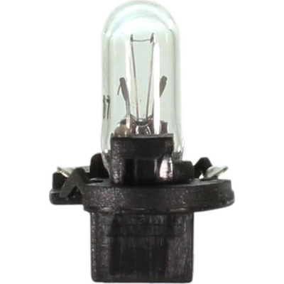 Instrument Light (Pack of 10) by WAGNER - PC37 pa9