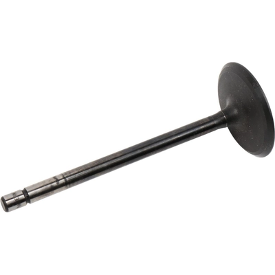 Intake Valve by ACDELCO - 12610931 pa2
