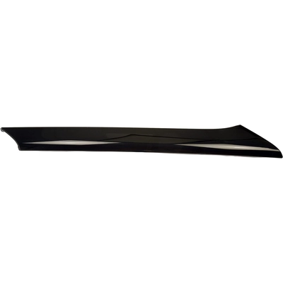 DORMAN (OE SOLUTIONS) - 926-289 - Windshield A-Pillar Molding pa2