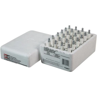 Iridium Plug by CHAMPION SPARK PLUG - 9901S pa3