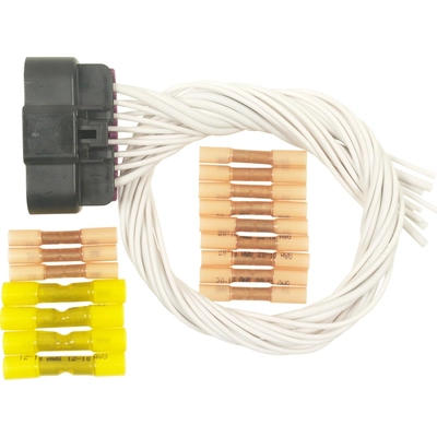Keyless Entry Connector by BLUE STREAK (HYGRADE MOTOR) - S1243 pa1