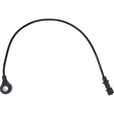 HOLSTEIN - 2KNC0136 - Ignition Knock (Detonation) Sensor pa1