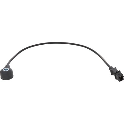 HOLSTEIN - 2KNC0136 - Ignition Knock (Detonation) Sensor pa2