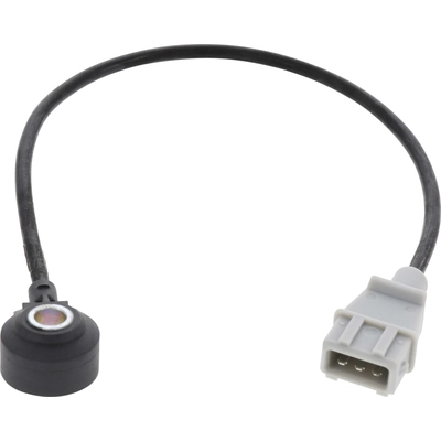 HOLSTEIN - 2KNC0456 - Ignition Knock (Detonation) Sensor pa3