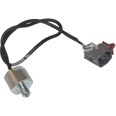 Knock Sensor by WALKER PRODUCTS - 242-1065 pa1