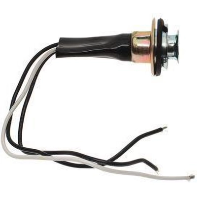 Lamp Socket by BLUE STREAK (HYGRADE MOTOR) - HP4160 pa4