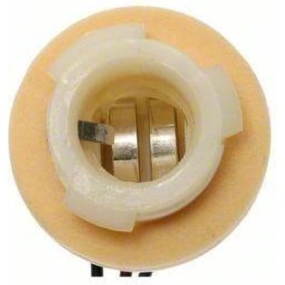 Lamp Socket by BLUE STREAK (HYGRADE MOTOR) - HP4670 pa4