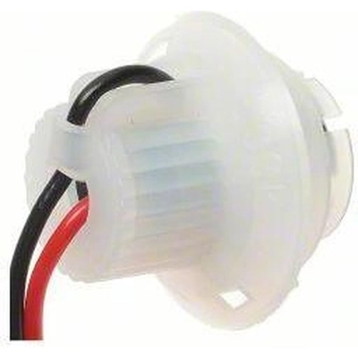 Lamp Socket by BLUE STREAK (HYGRADE MOTOR) - HP4730 pa1