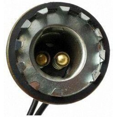 Lamp Socket by BLUE STREAK (HYGRADE MOTOR) - S29 pa9