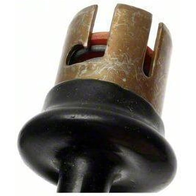 Lamp Socket by BLUE STREAK (HYGRADE MOTOR) - S43N pa4