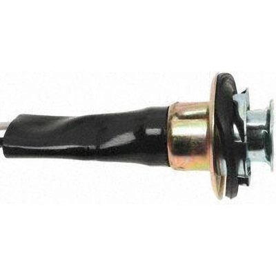 Lamp Socket by BLUE STREAK (HYGRADE MOTOR) - S504 pa22