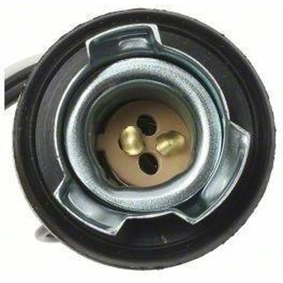 Lamp Socket by BLUE STREAK (HYGRADE MOTOR) - S505 pa15